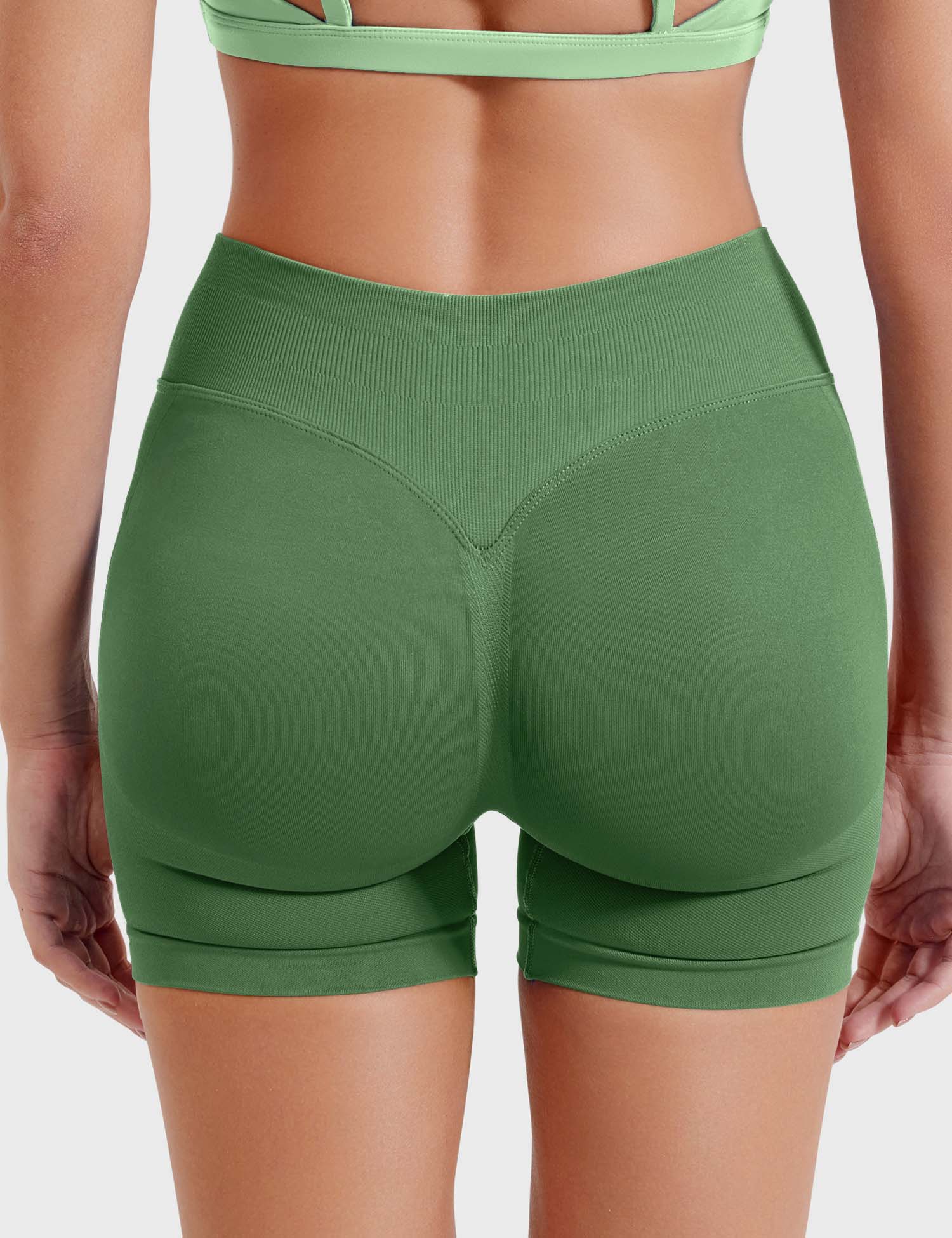 PistachioGreen